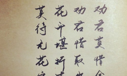 踏月乘歌破晓天！是什么意思？