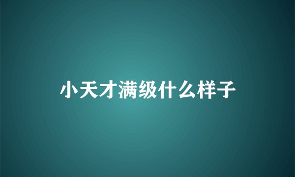 小天才满级什么样子