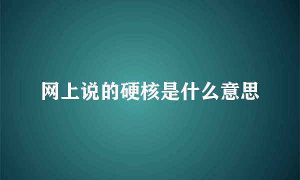 网上说的硬核是什么意思