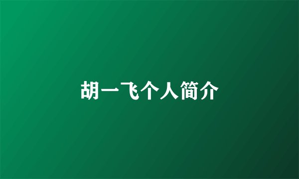 胡一飞个人简介