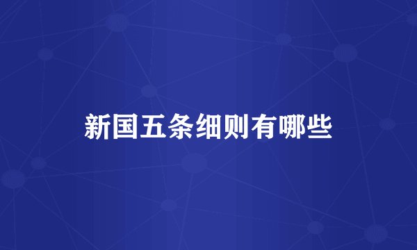 新国五条细则有哪些