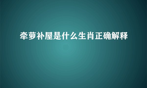 牵萝补屋是什么生肖正确解释