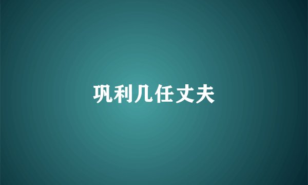巩利几任丈夫