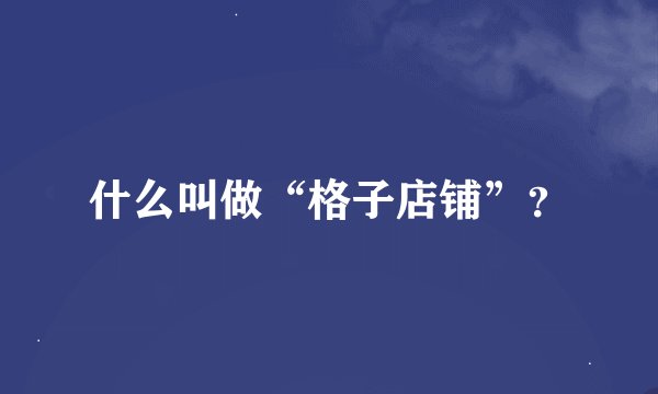 什么叫做“格子店铺”？