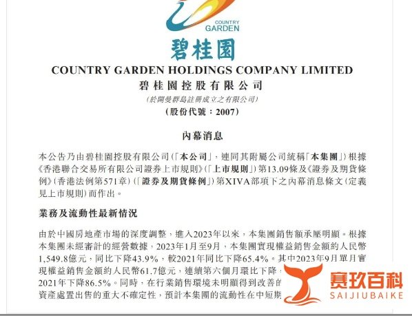 碧桂园重大信号!创始人杨国强公开露面,传卖私人飞机偿债?知情人士:已售一架 另一架待售