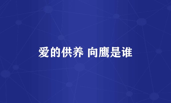 爱的供养 向鹰是谁