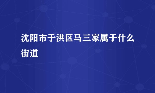 沈阳市于洪区马三家属于什么街道