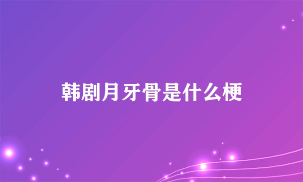 韩剧月牙骨是什么梗