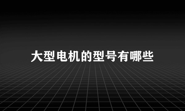 大型电机的型号有哪些