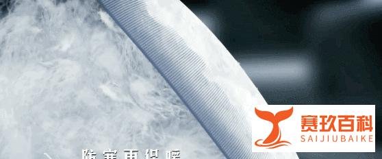 从三年关店8000家到一年狂卖100亿 ，波司登经历了什么？