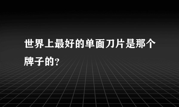 世界上最好的单面刀片是那个牌子的？