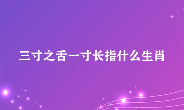 三寸之舌一寸长指什么生肖