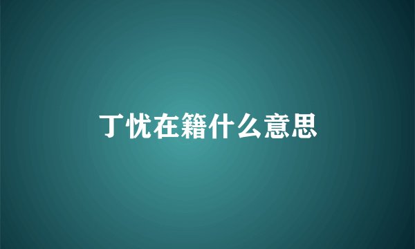丁忧在籍什么意思