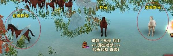 轩辕传奇商人篇之如何抓优良坐骑