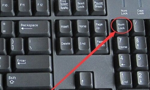 为什么我的笔记本电脑不能输数字了呢？