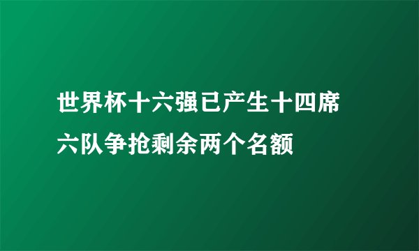 世界杯十六强已产生十四席 六队争抢剩余两个名额