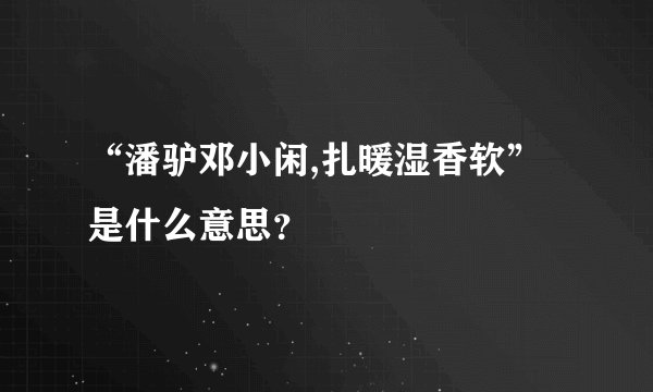 “潘驴邓小闲,扎暖湿香软”是什么意思？