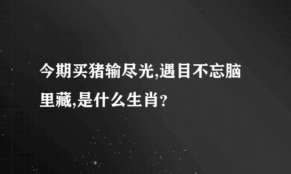 今期买猪输尽光,遇目不忘脑里藏,是什么生肖？