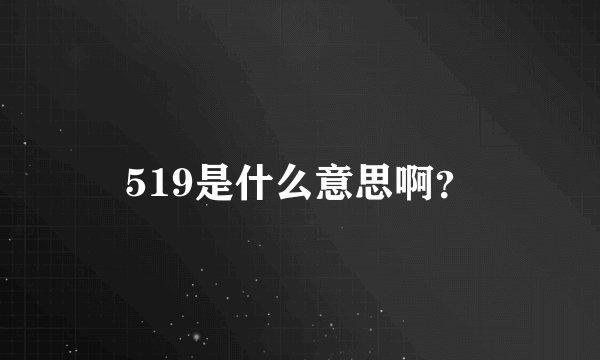 519是什么意思啊？