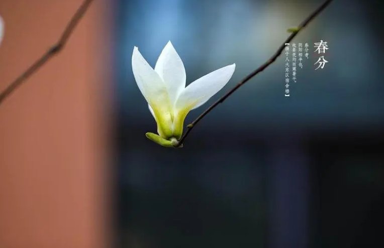 春分的气候特点是什么