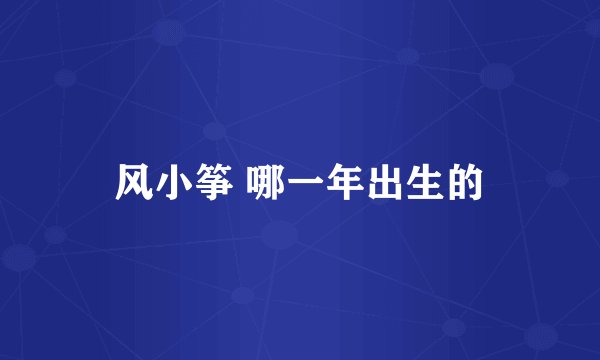 风小筝 哪一年出生的