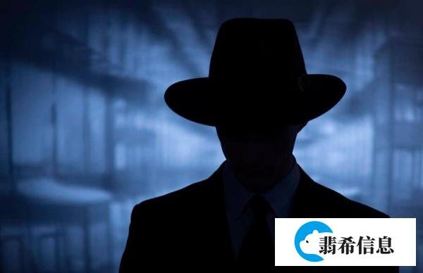 网银大盗覆没记