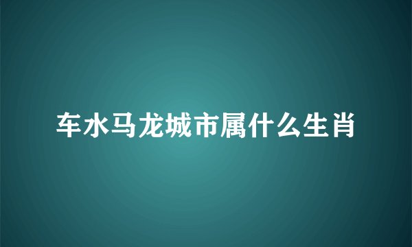 车水马龙城市属什么生肖