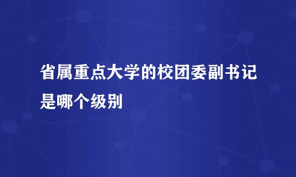 省属重点大学的校团委副书记是哪个级别