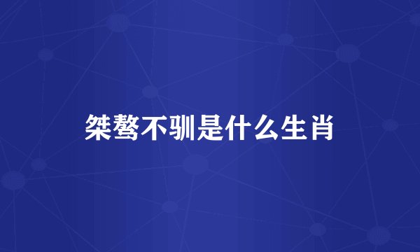 桀骜不驯是什么生肖