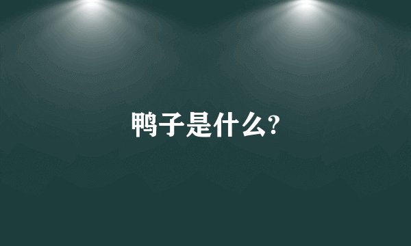 鸭子是什么?