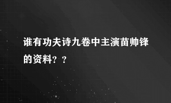 谁有功夫诗九卷中主演苗帅锋的资料？？
