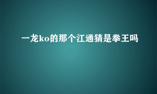 一龙ko的那个江通猜是拳王吗