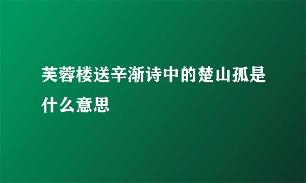 芙蓉楼送辛渐诗中的楚山孤是什么意思
