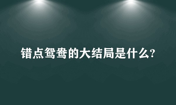 错点鸳鸯的大结局是什么?