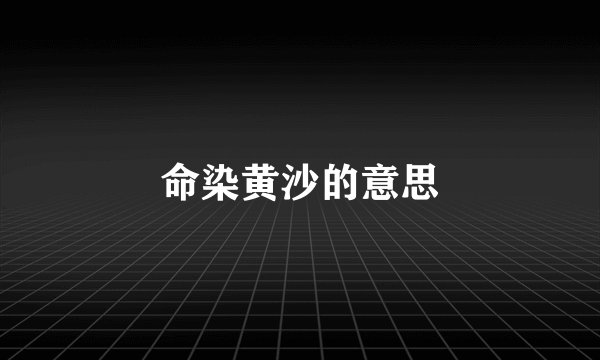 命染黄沙的意思