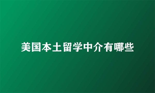 美国本土留学中介有哪些