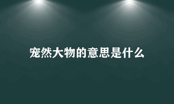 宠然大物的意思是什么