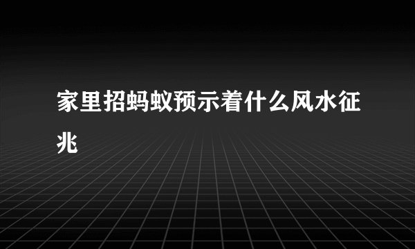 家里招蚂蚁预示着什么风水征兆