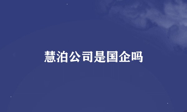 慧泊公司是国企吗