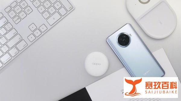 目前降价最“狠”的三款手机，第二款学生党首选