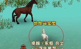 轩辕传奇商人篇之如何抓优良坐骑