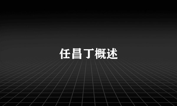 任昌丁概述