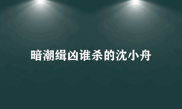 暗潮缉凶谁杀的沈小舟