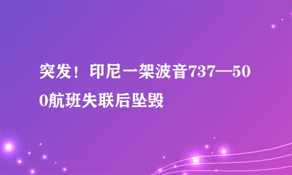 突发！印尼一架波音737—500航班失联后坠毁