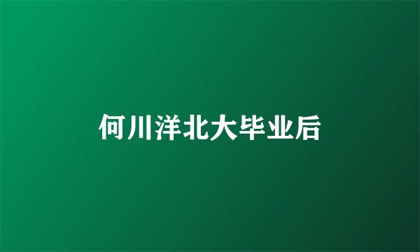 何川洋北大毕业后
