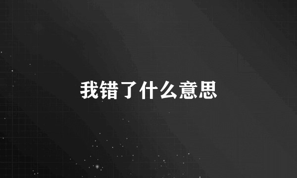 我错了什么意思