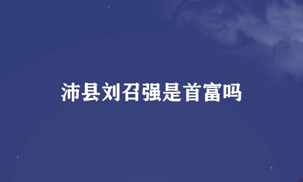 沛县刘召强是首富吗
