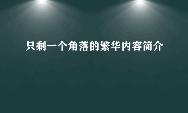 只剩一个角落的繁华内容简介