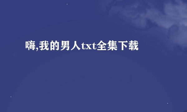 嗨,我的男人txt全集下载