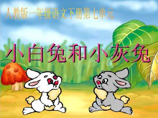小白兔小黑兔和小灰兔的故事是什么？